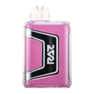 Buy Strawberry Shortcake RAZ TN9000
